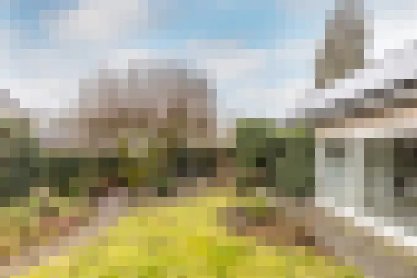 Hoogdijk 39 Oost West en Middelbeers thumbnail 36