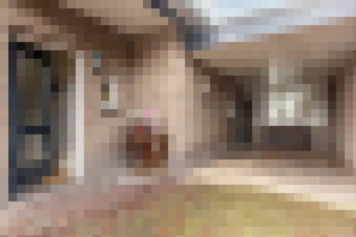 Hoogdijk 39 Oost West en Middelbeers thumbnail 8