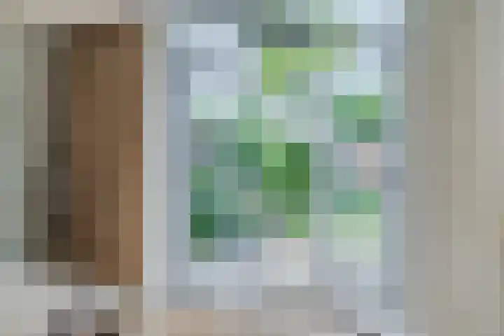 Hoogdonk 9 Bavel thumbnail 13