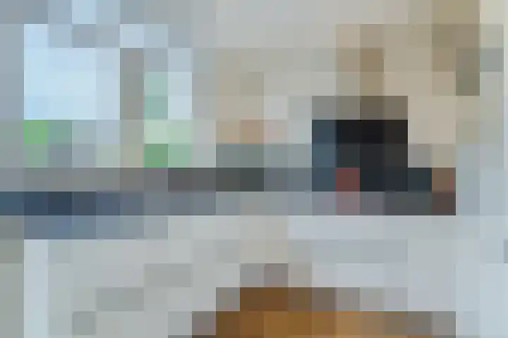 Hoogdonk 9 Bavel thumbnail 14