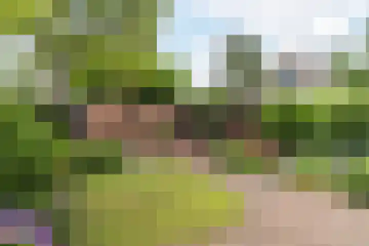 Hoogdonk 9 Bavel thumbnail 33