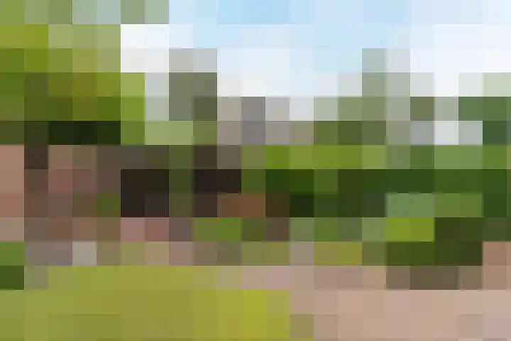 Hoogdonk 9 Bavel thumbnail 34