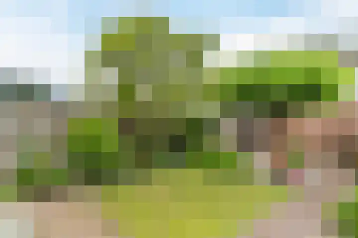 Hoogdonk 9 Bavel thumbnail 35