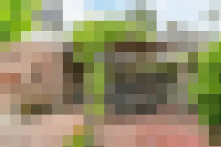 Hoogdonk 9 Bavel thumbnail 36