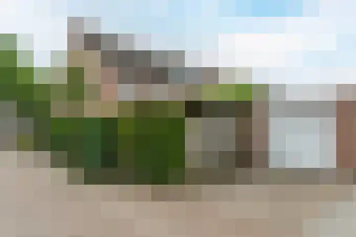 Hoogdonk 9 Bavel thumbnail 39