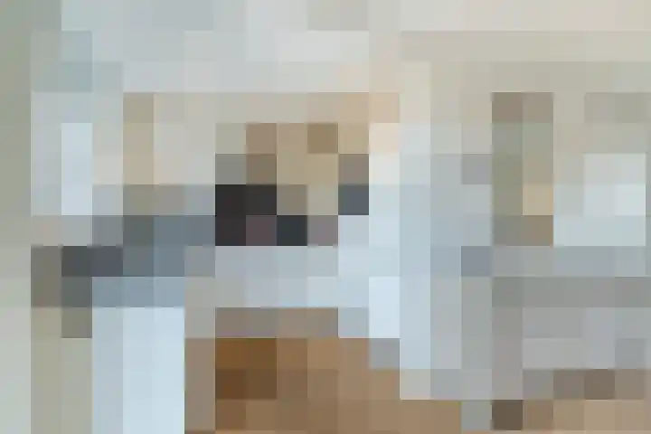 Hoogdonk 9 Bavel thumbnail 4