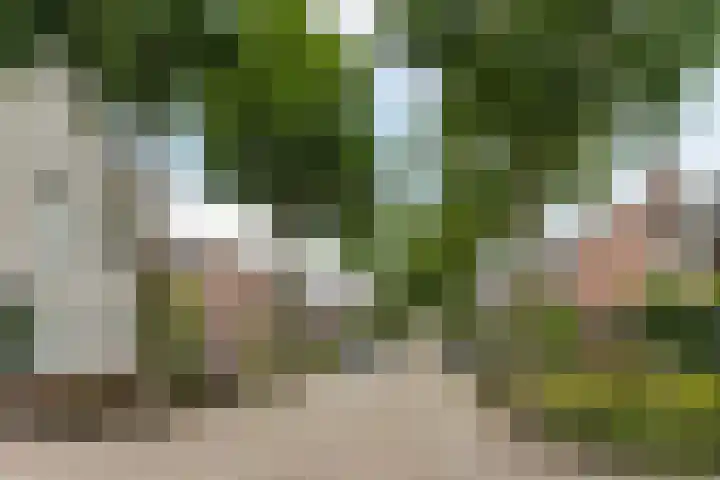 Hoogdonk 9 Bavel thumbnail 40