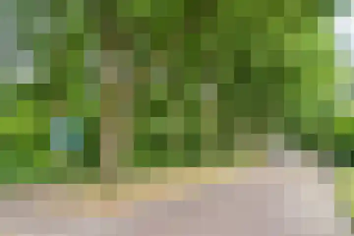 Hoogdonk 9 Bavel thumbnail 41