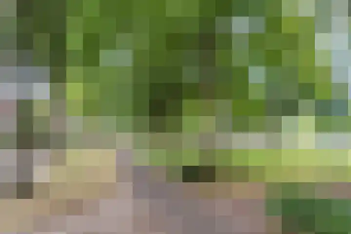 Hoogdonk 9 Bavel thumbnail 42