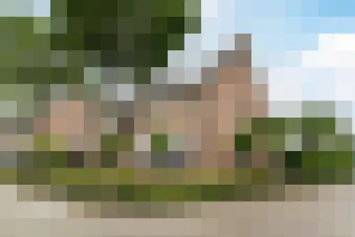 Hoogdonk 9 Bavel thumbnail 45