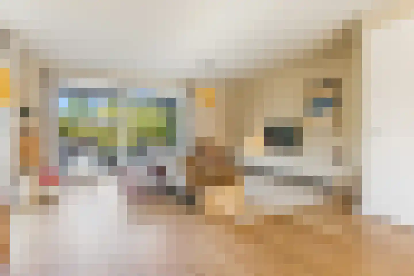 Hoogduinstraat 5 Almere thumbnail 21