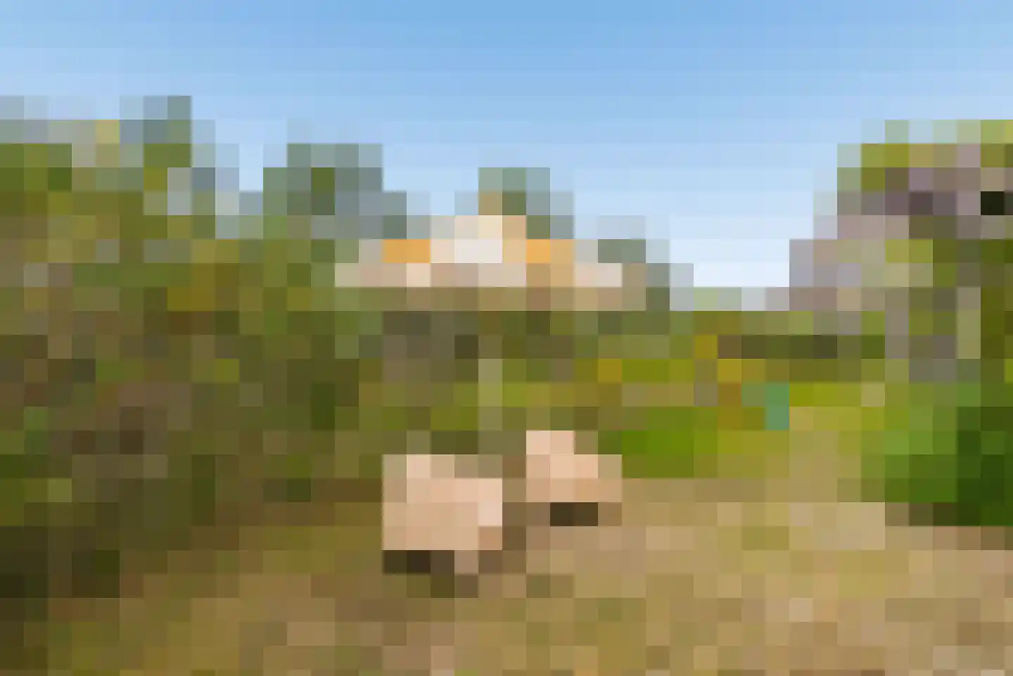 Hoogduinstraat 5 Almere thumbnail 35