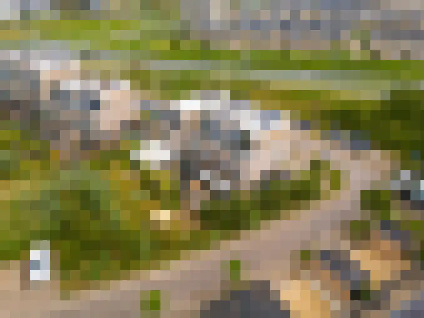 Hoogduinstraat 5 Almere thumbnail 6