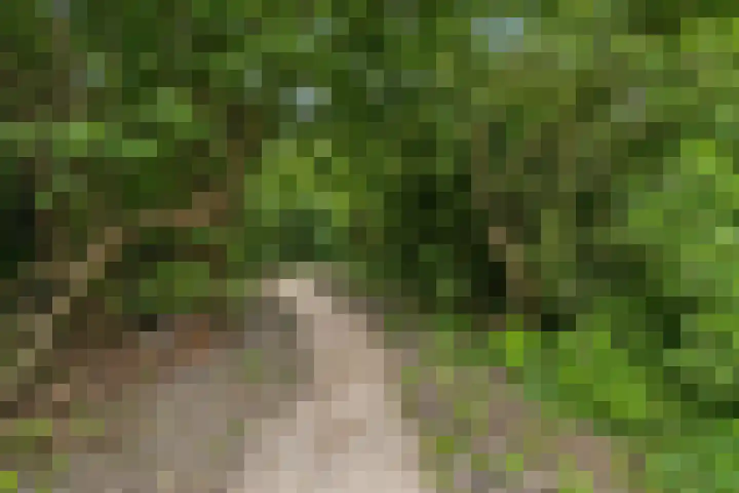 Hoogduinstraat 5 Almere thumbnail 89