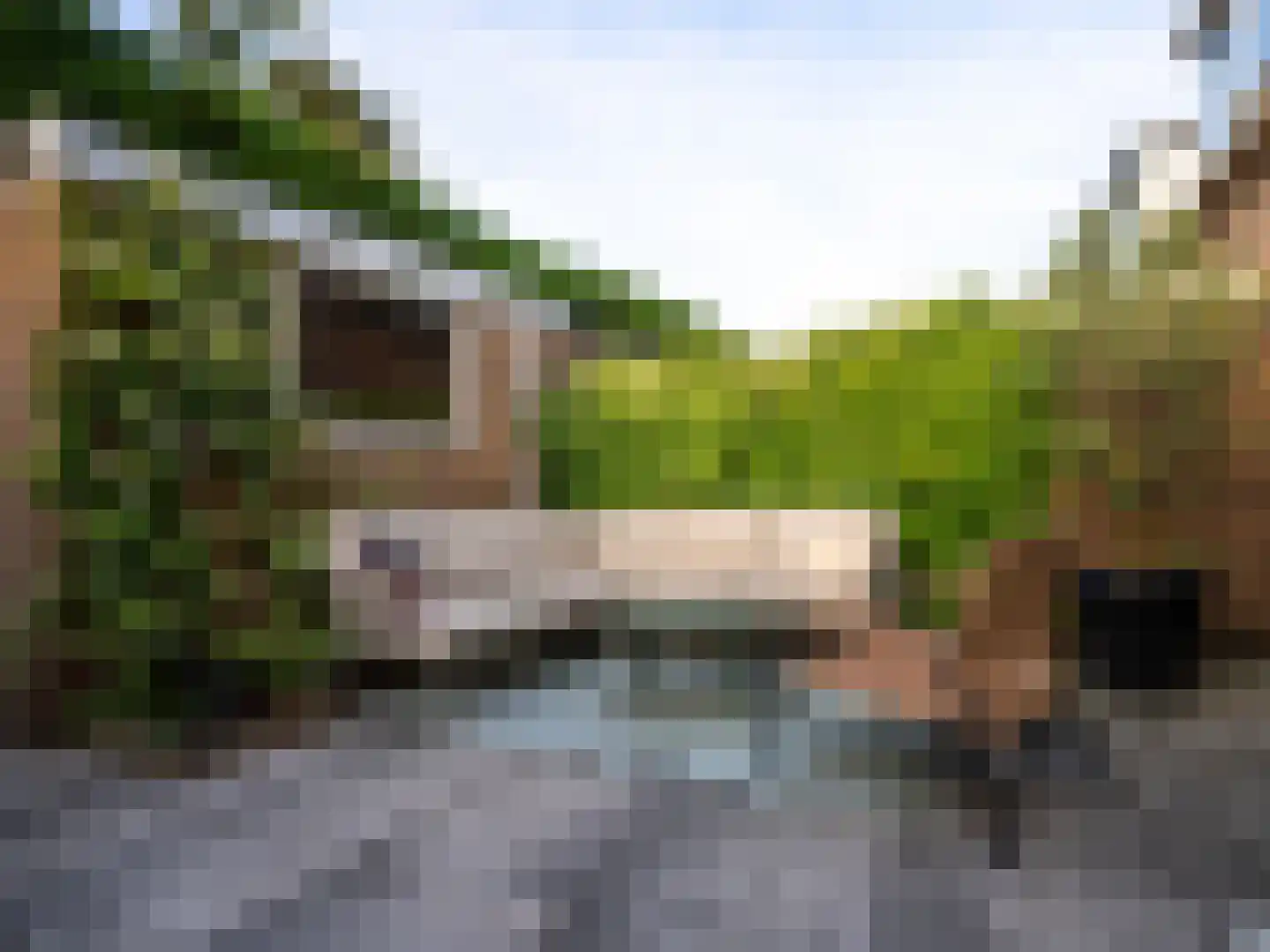 Hoogduinweg 6 De Zilk thumbnail 19