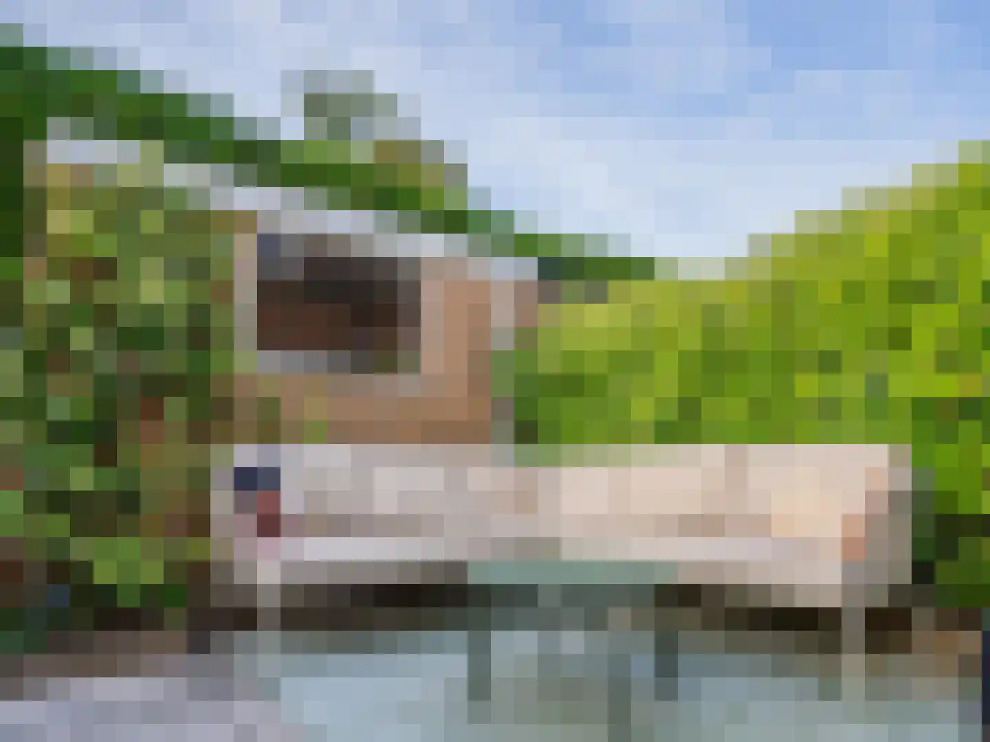 Hoogduinweg 6 De Zilk thumbnail 20