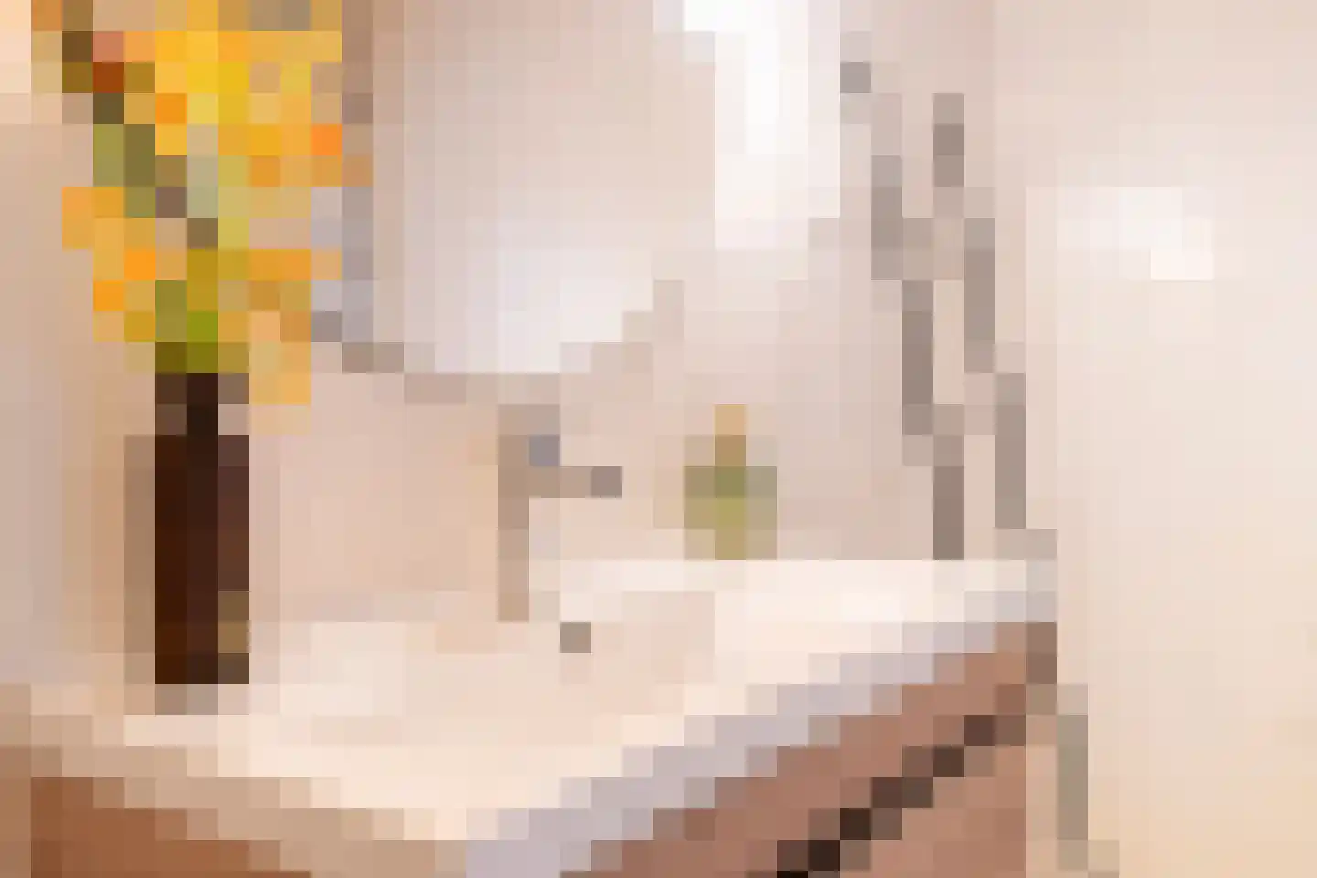 Hoogduinweg 6 De Zilk thumbnail 32