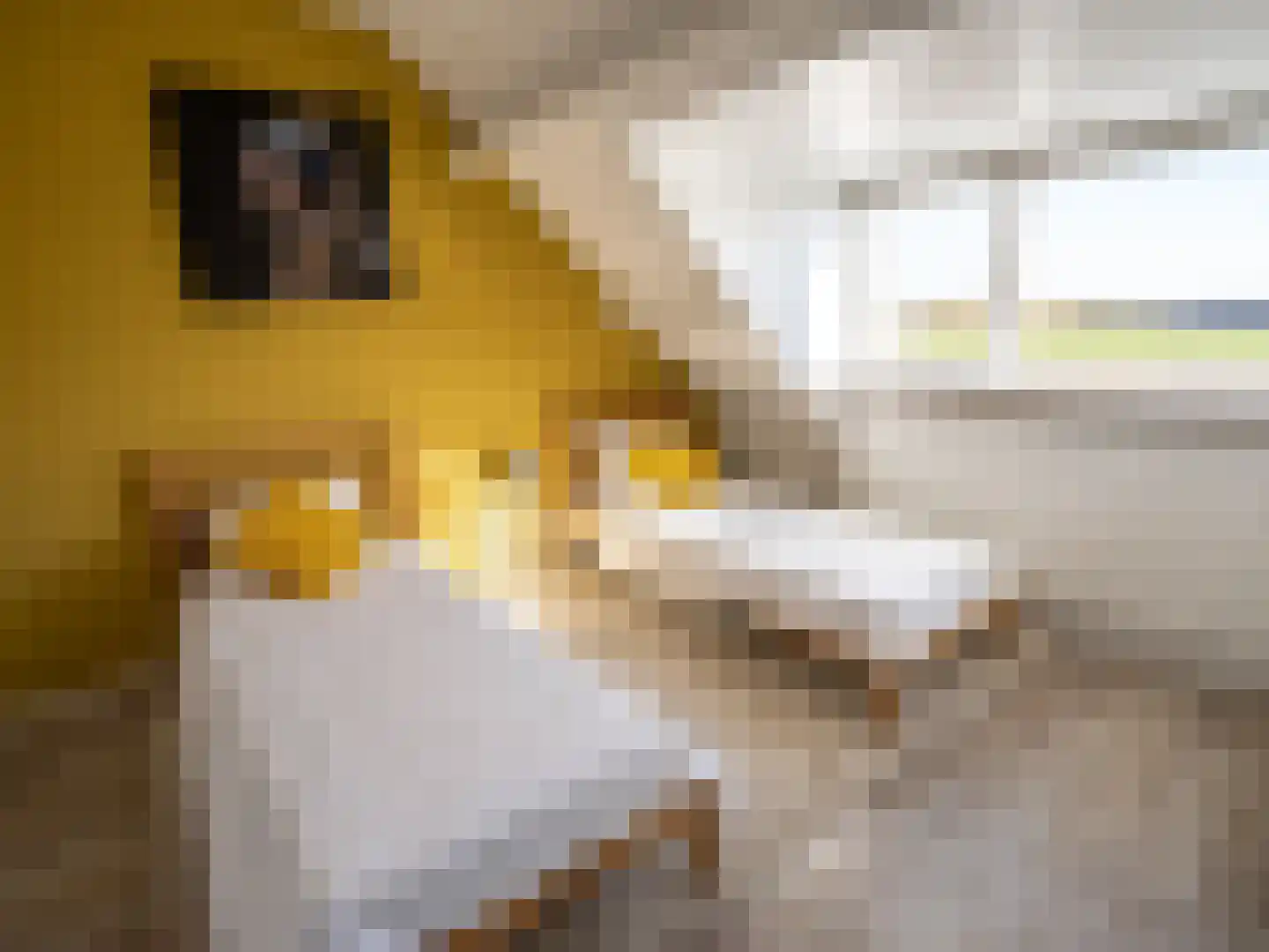 Hoogduinweg 6 De Zilk thumbnail 38