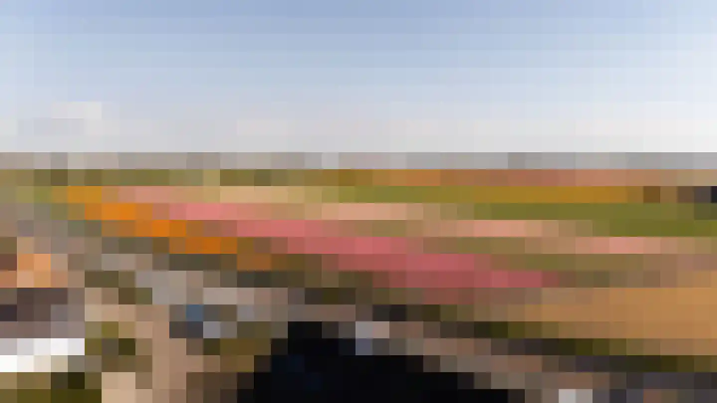 Hoogduinweg 6 De Zilk thumbnail 41