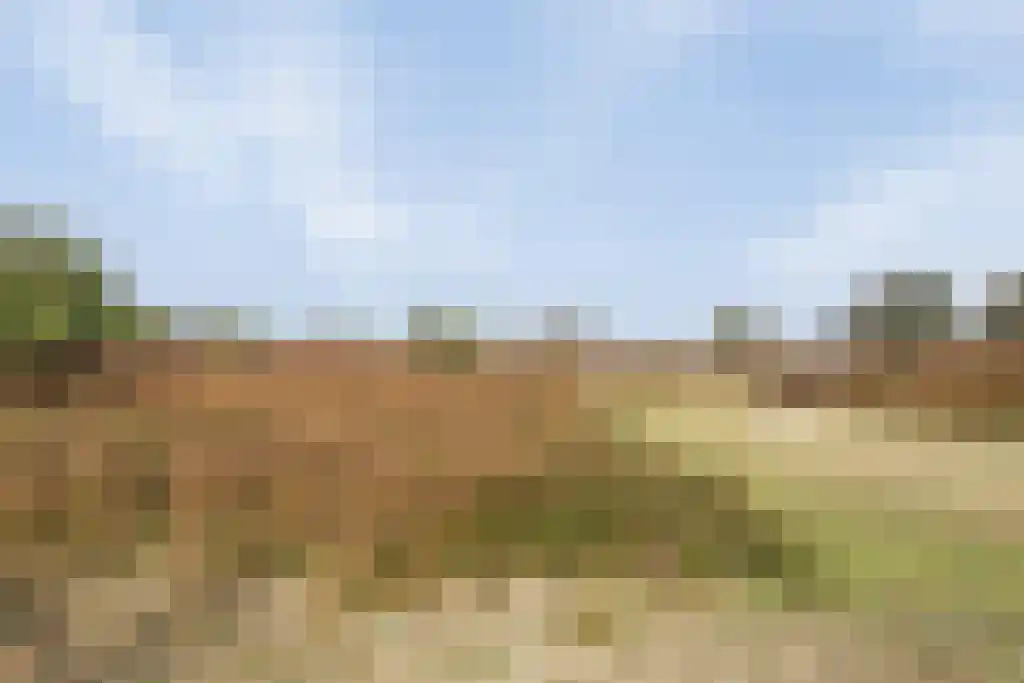 Hoogduinweg 6 De Zilk thumbnail 47