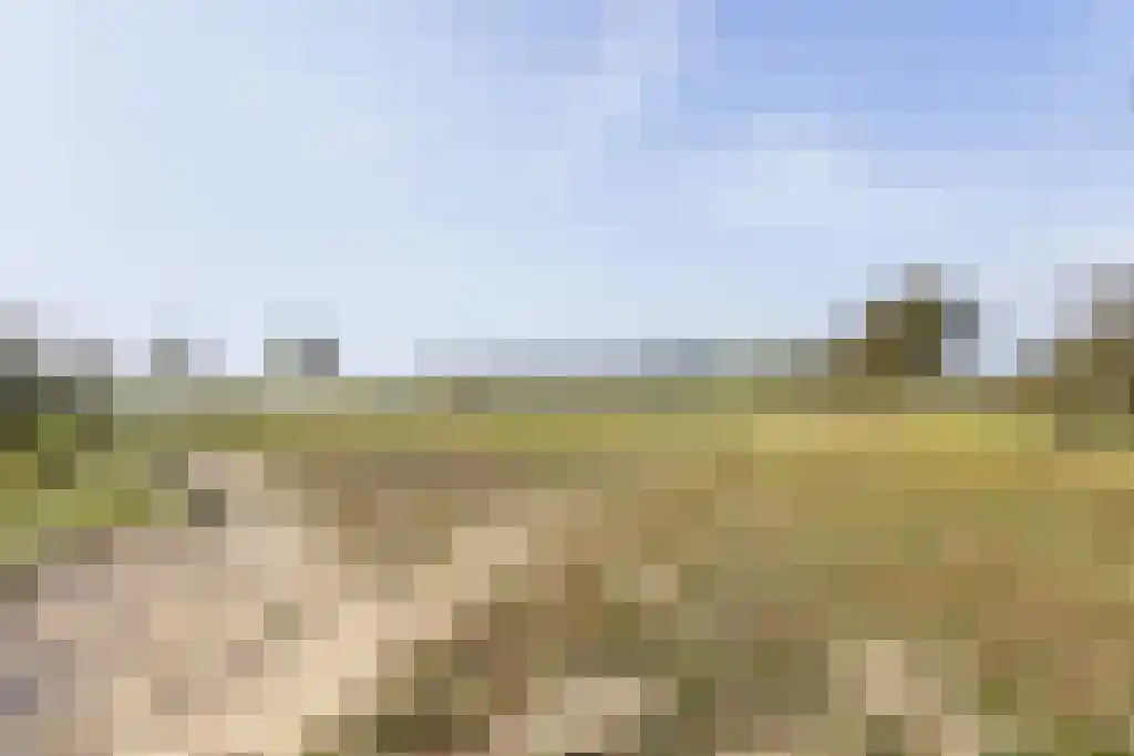 Hoogduinweg 6 De Zilk thumbnail 48