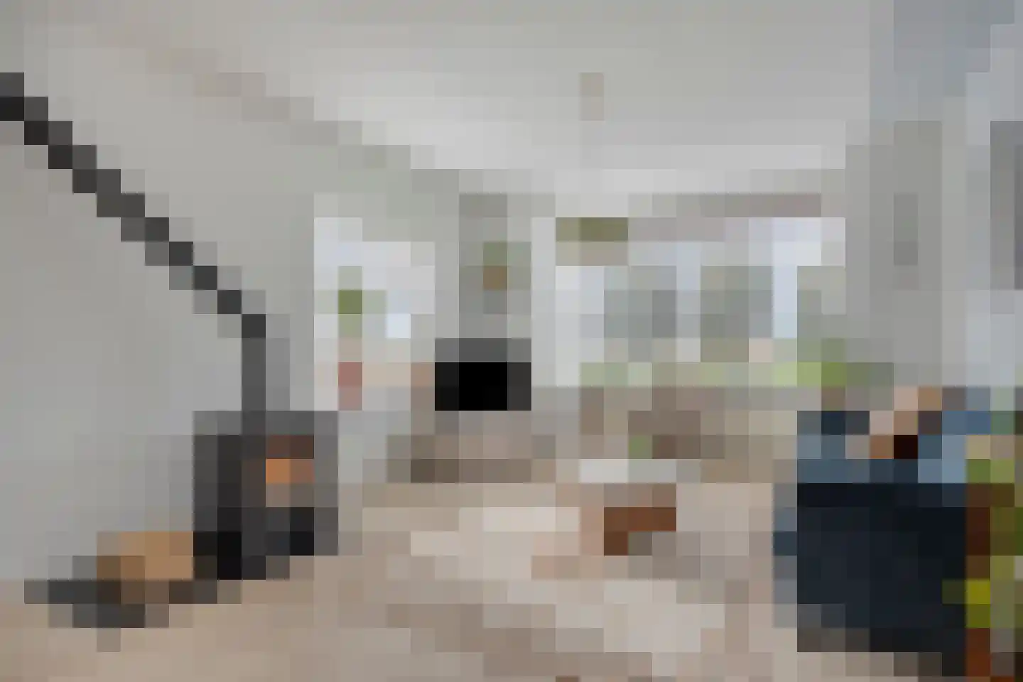 Hoogduinweg 64 De Zilk thumbnail 10