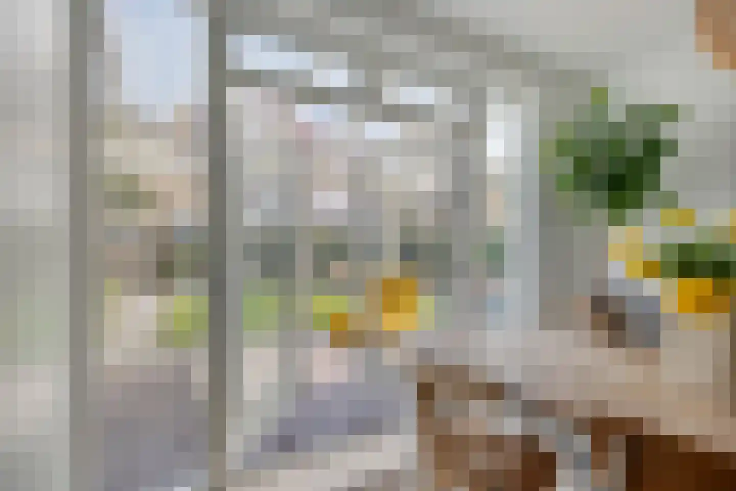 Hoogduinweg 64 De Zilk thumbnail 15