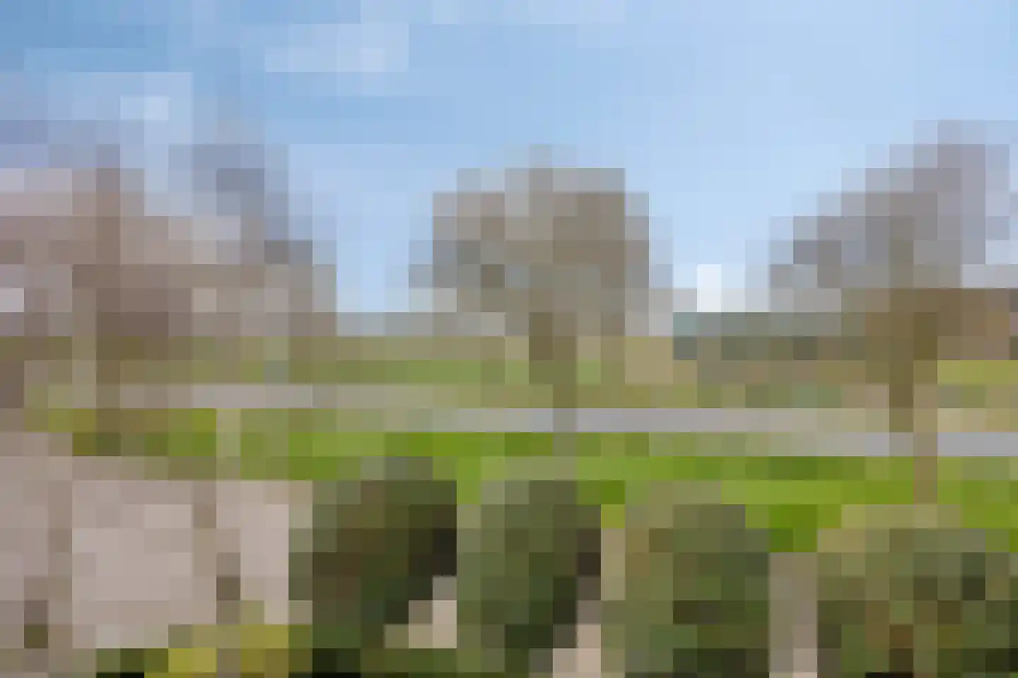 Hoogduinweg 64 De Zilk thumbnail 25