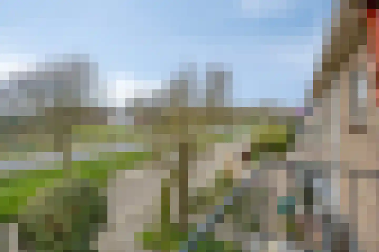 Hoogduinweg 64 De Zilk thumbnail 26