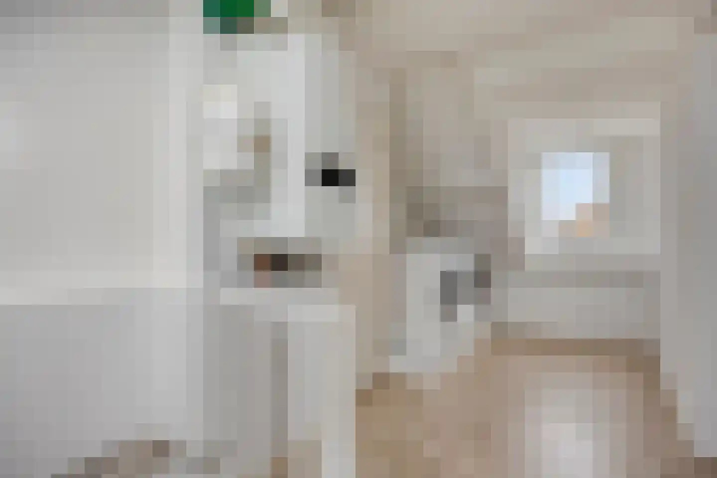 Hoogduinweg 64 De Zilk thumbnail 32