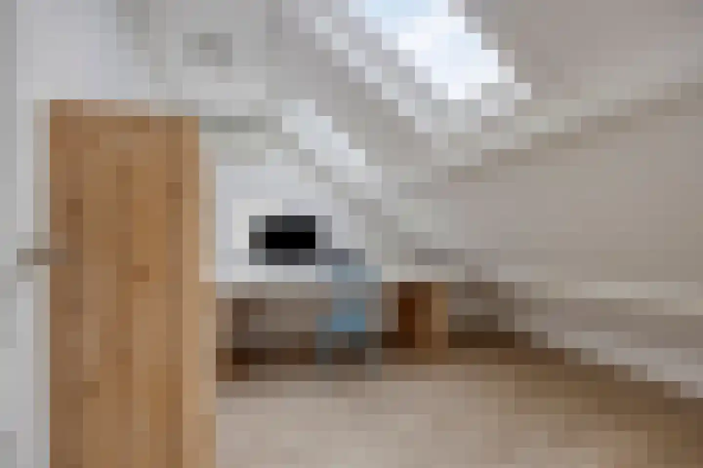 Hoogduinweg 64 De Zilk thumbnail 36