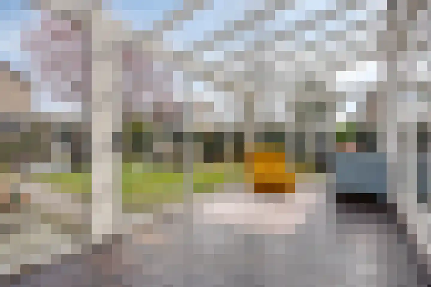 Hoogduinweg 64 De Zilk thumbnail 38