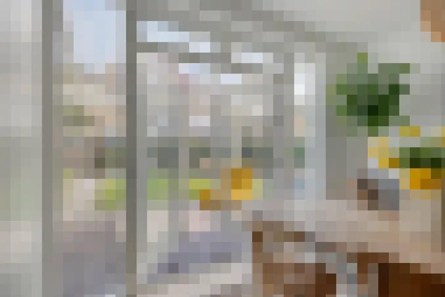 Hoogduinweg 64 De Zilk thumbnail 4