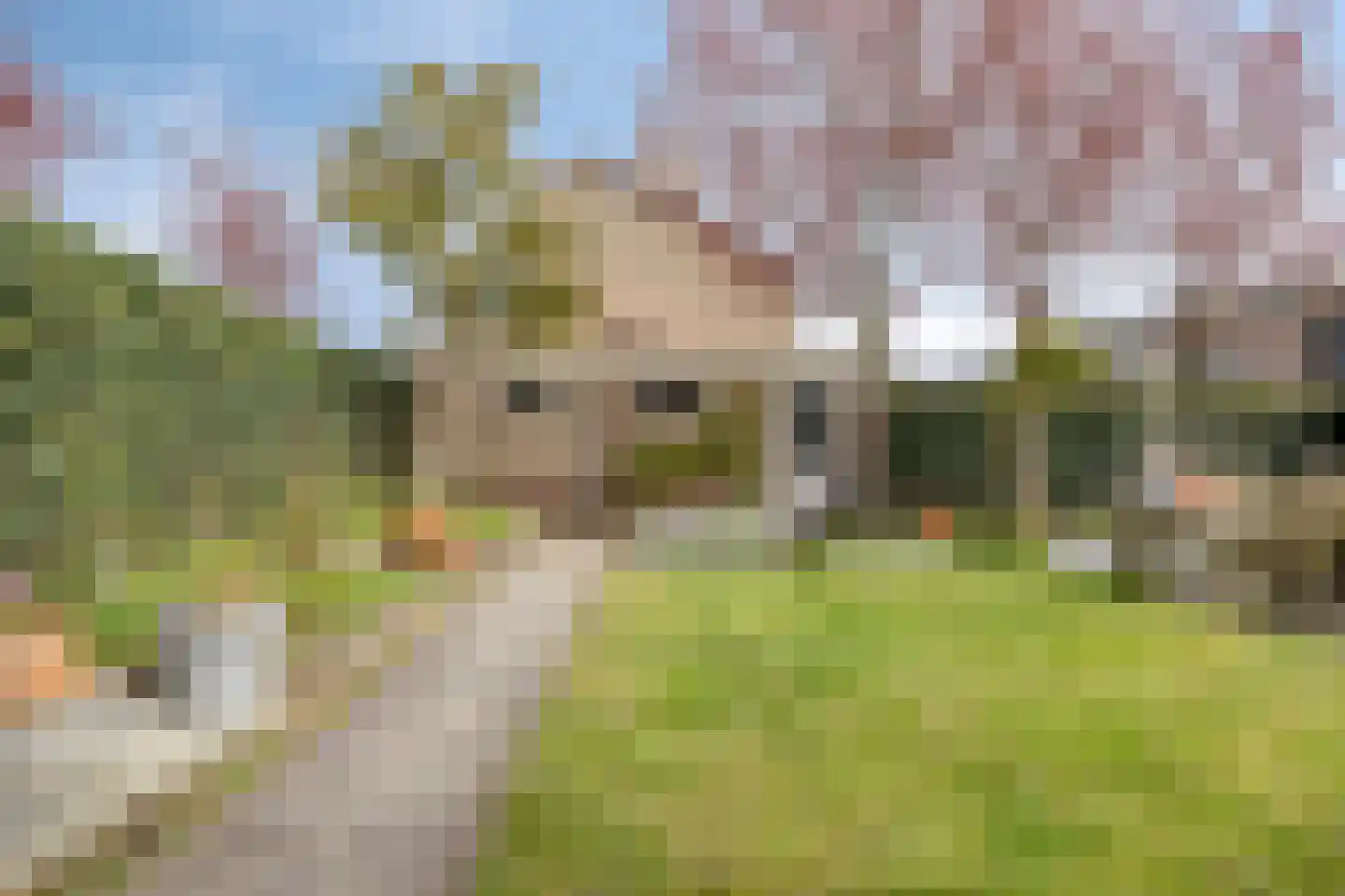 Hoogduinweg 64 De Zilk thumbnail 40