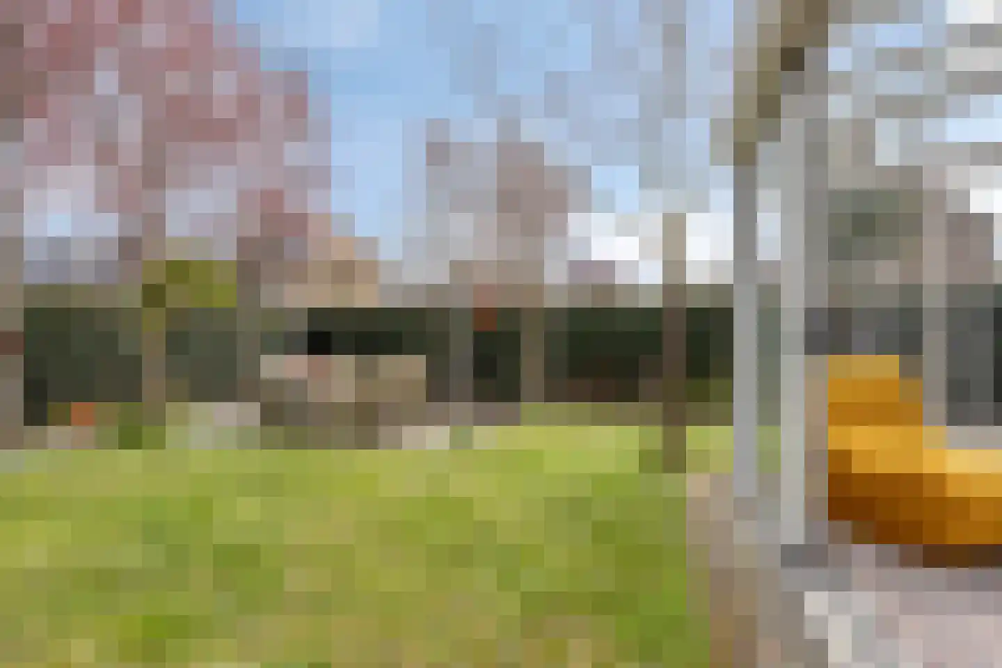 Hoogduinweg 64 De Zilk thumbnail 42