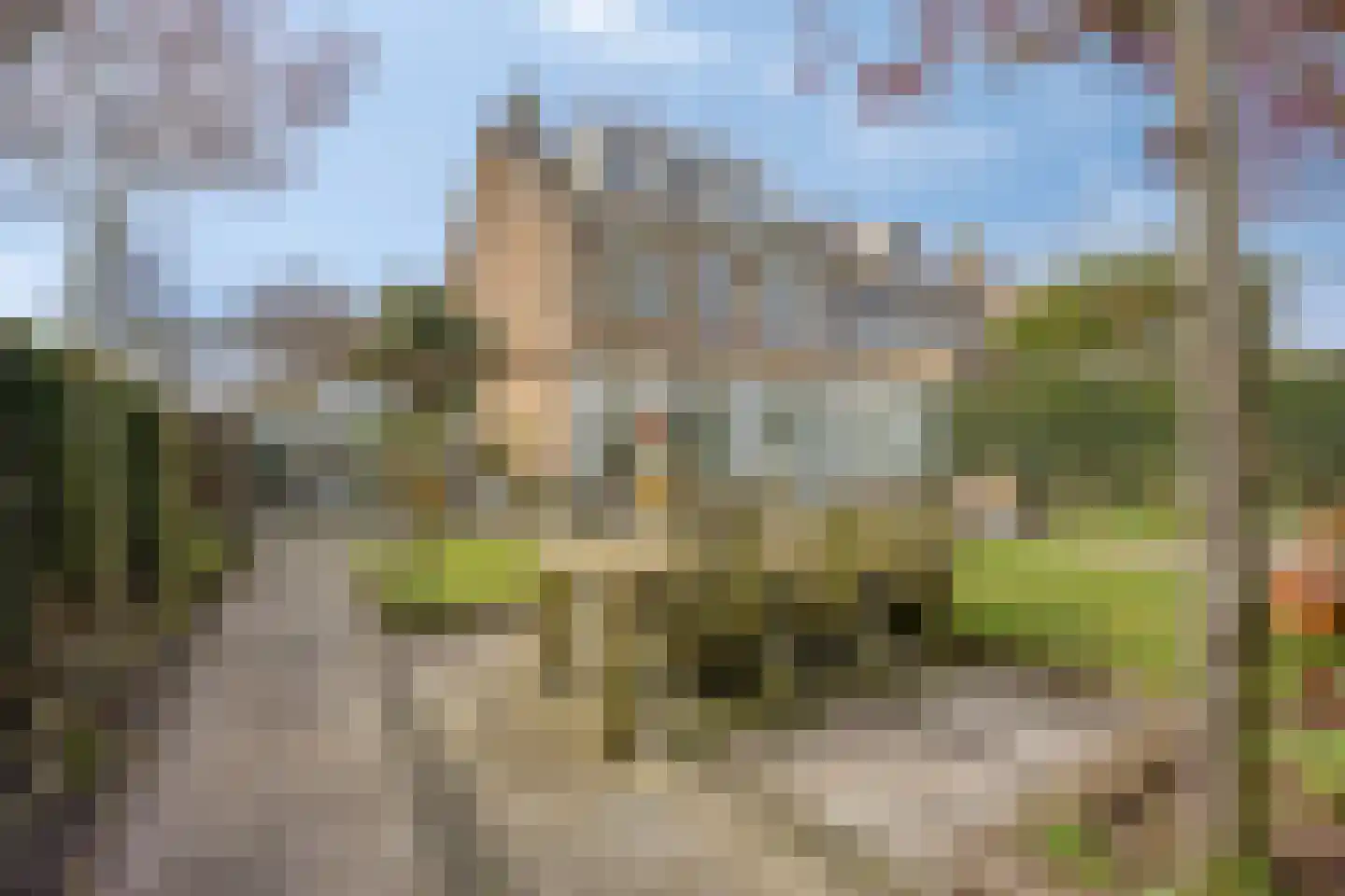 Hoogduinweg 64 De Zilk thumbnail 45