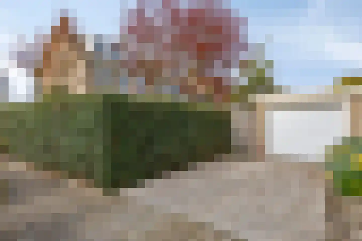Hoogduinweg 64 De Zilk thumbnail 48