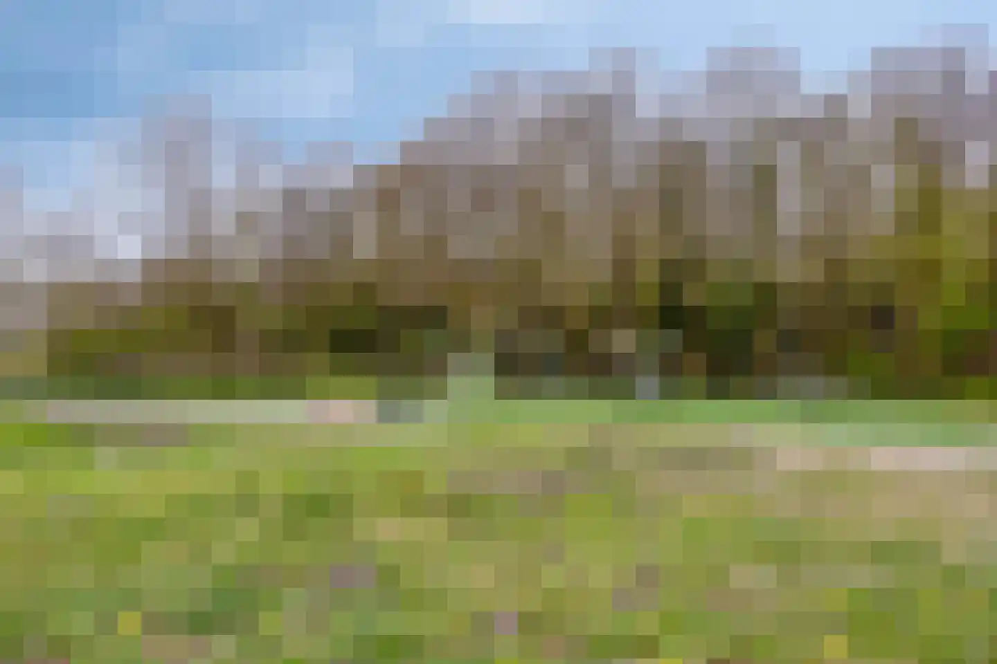 Hoogduinweg 64 De Zilk thumbnail 51