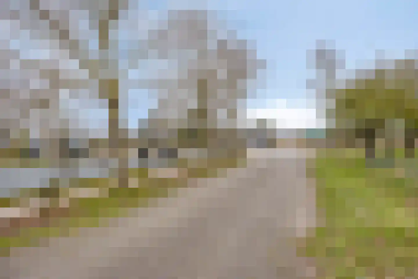 Hoogduinweg 64 De Zilk thumbnail 52