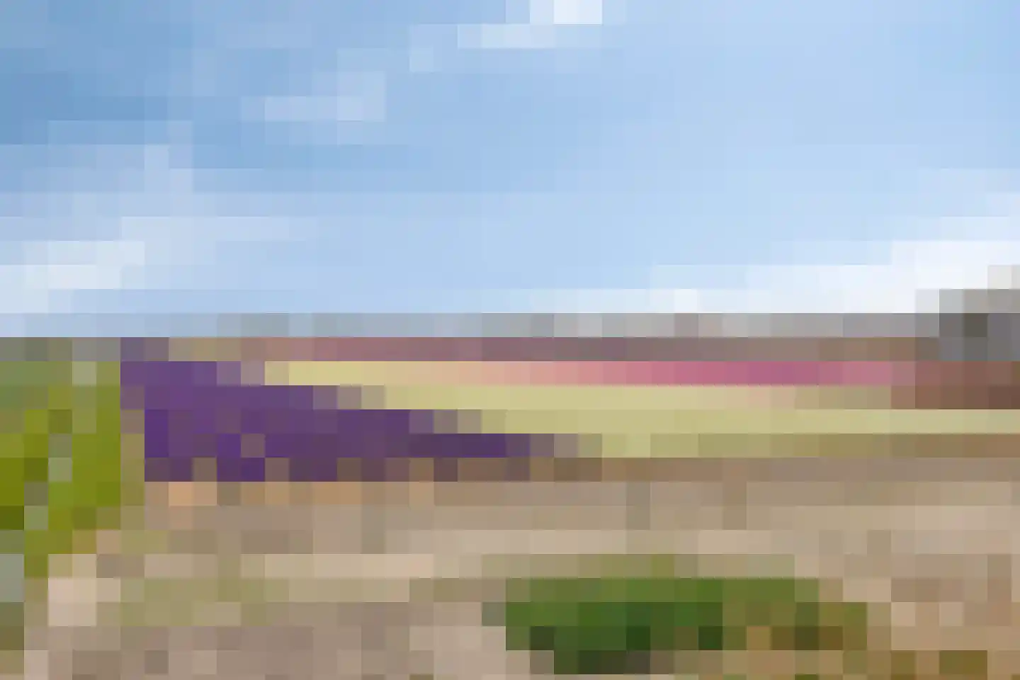 Hoogduinweg 64 De Zilk thumbnail 53