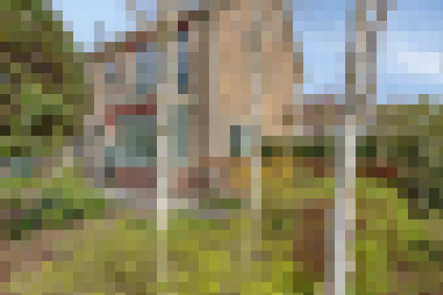 Hoogduinweg 64 De Zilk thumbnail 55