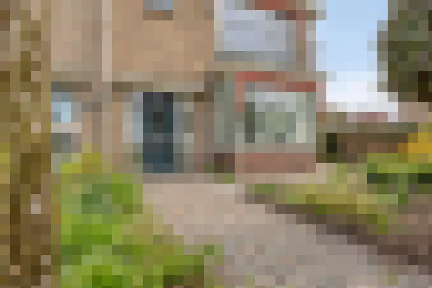 Hoogduinweg 64 De Zilk thumbnail 6