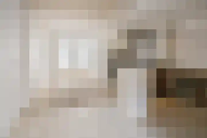 Hoogdwarsstraat 3 Den Helder thumbnail 5