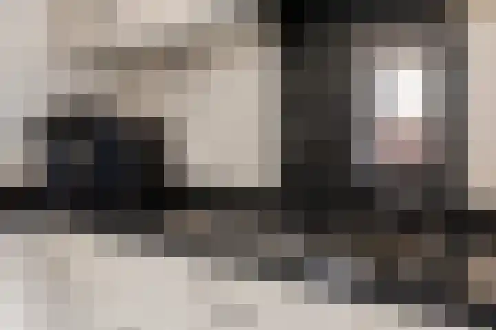 Hooge akker 11 Vessem thumbnail 11