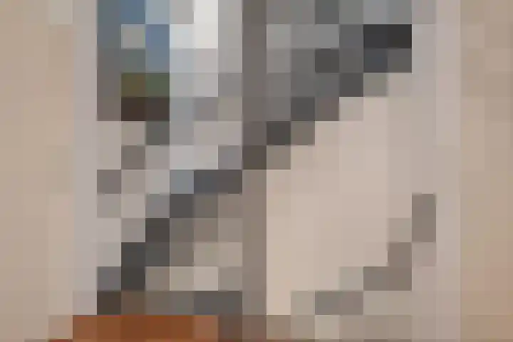 Hooge akker 11 Vessem thumbnail 19