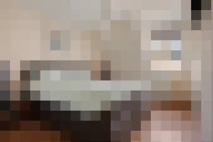 Hooge akker 11 Vessem thumbnail 22