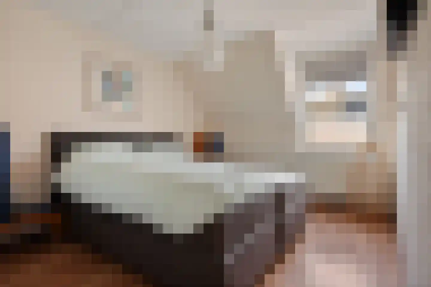 Hooge akker 11 Vessem thumbnail 22