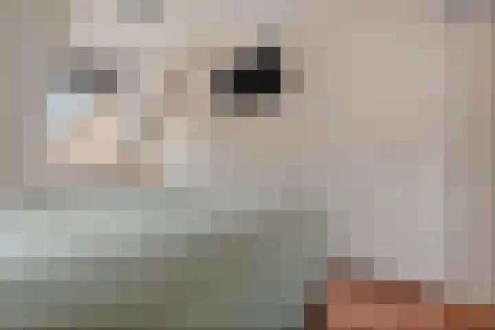 Hooge akker 11 Vessem thumbnail 23