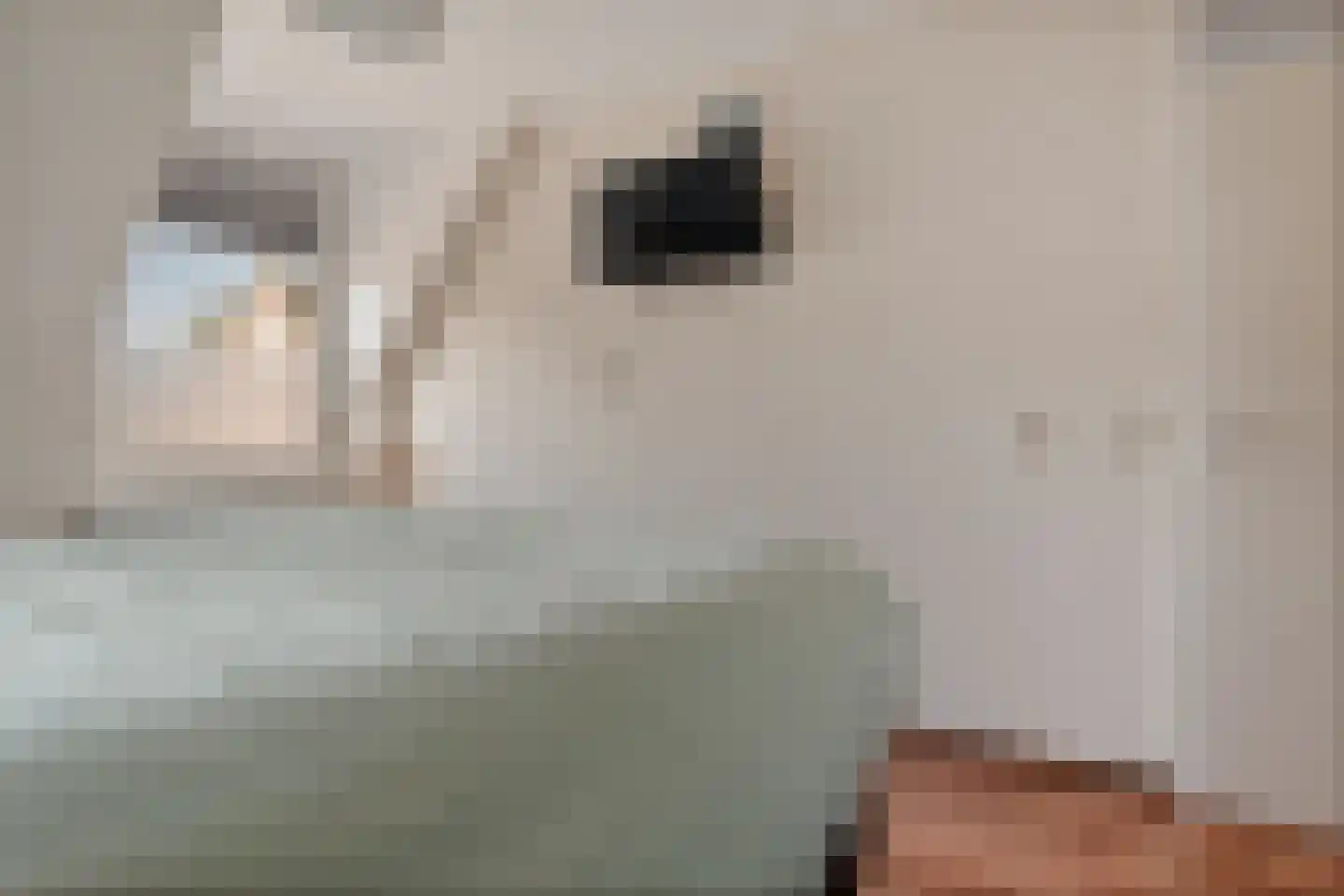 Hooge akker 11 Vessem thumbnail 23