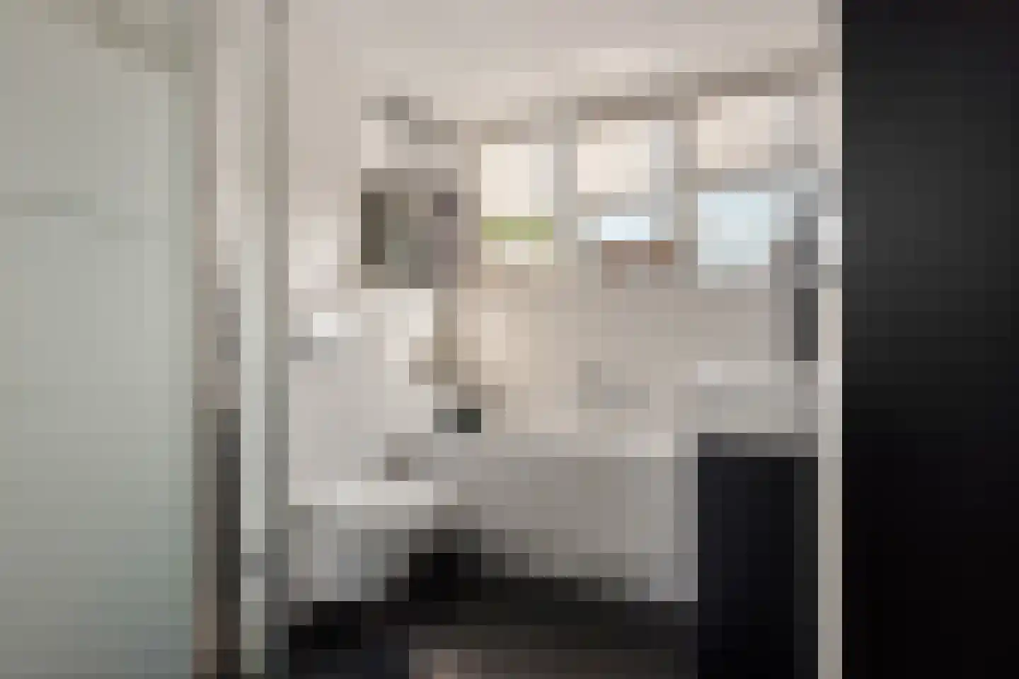 Hooge akker 11 Vessem thumbnail 26